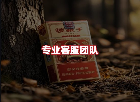 专业团队